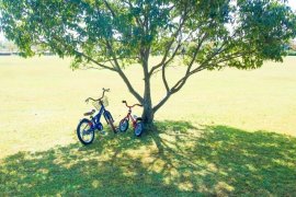 5b989e841554085a44cc7b7857c80f12_s